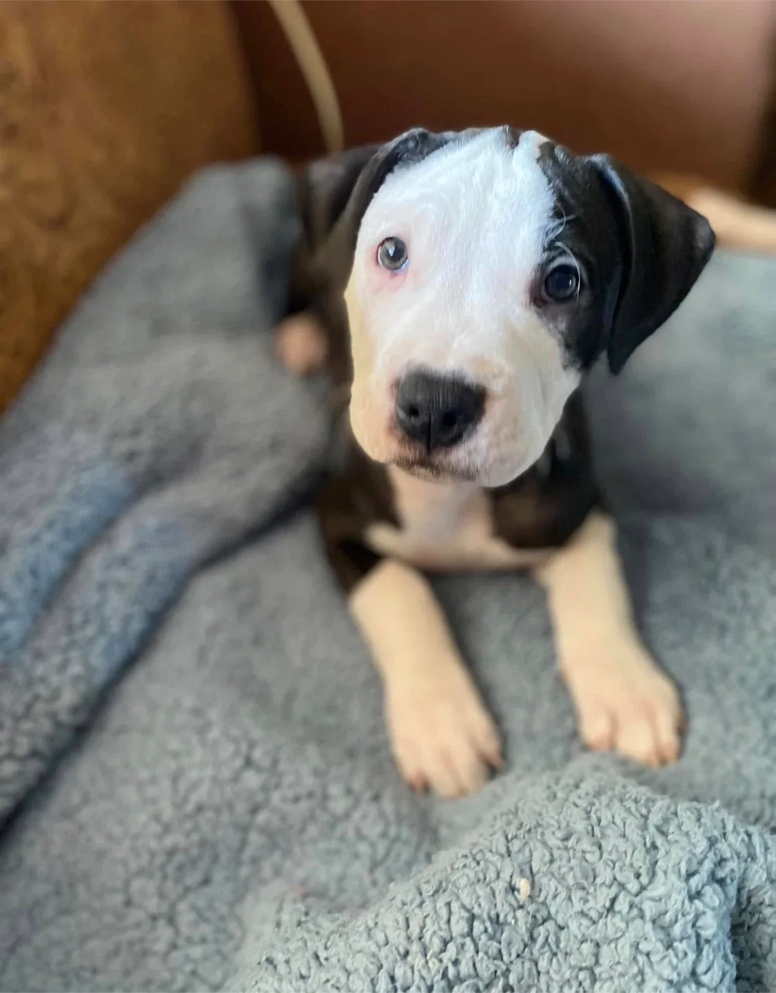 Isabelle street profile