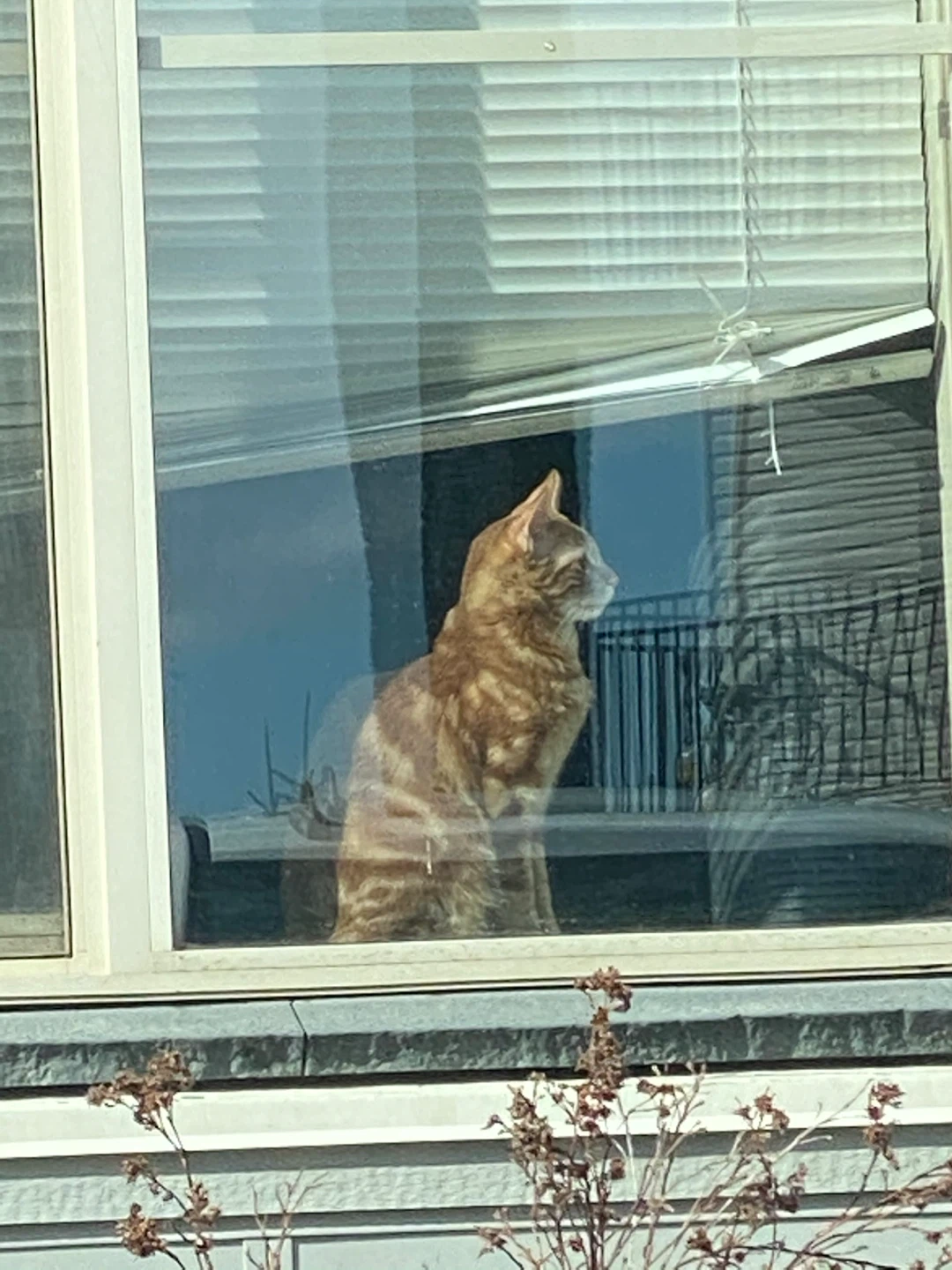 Scott Lee profile