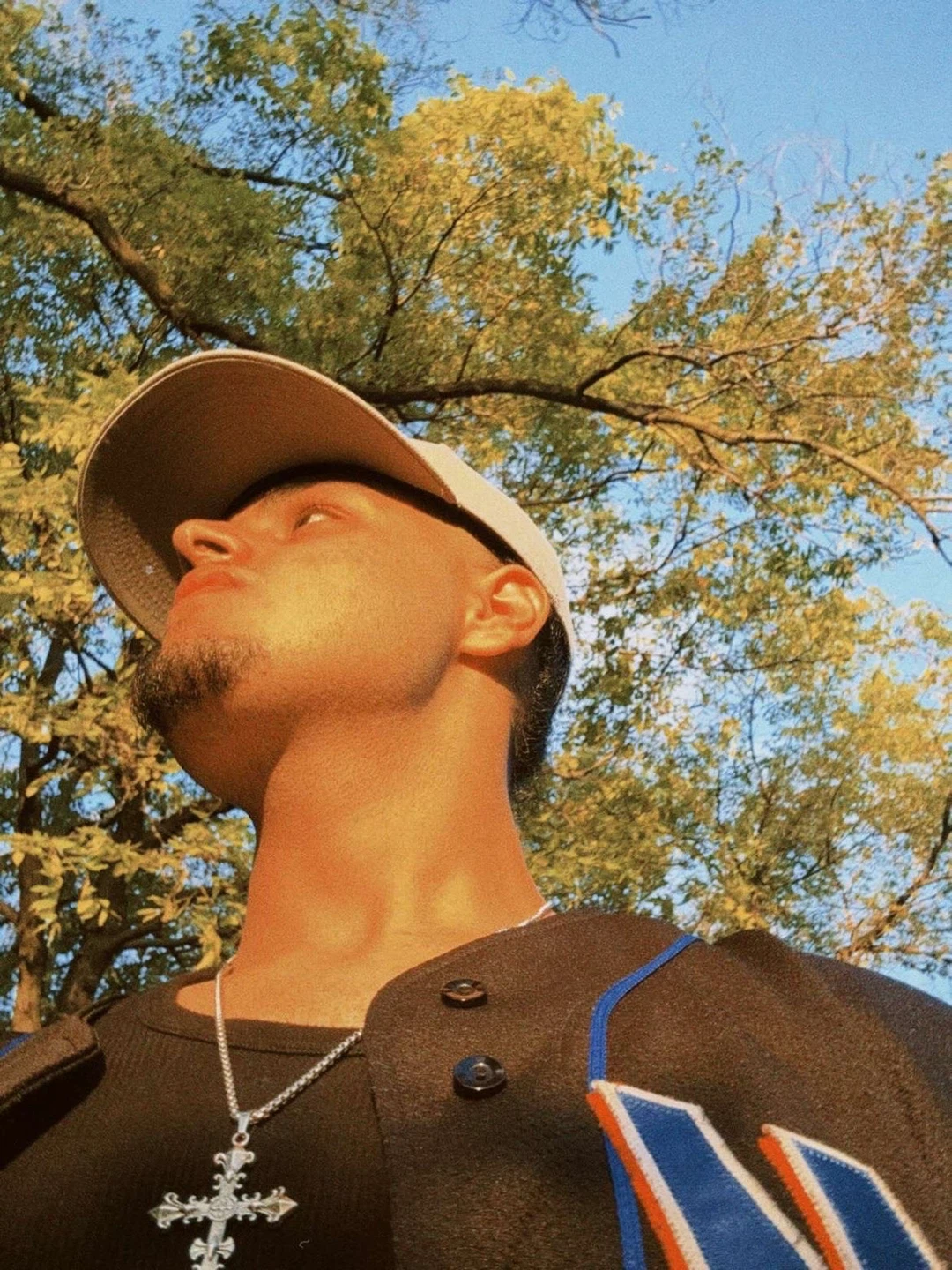 Arsh ws profile