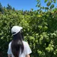 Sorin profile