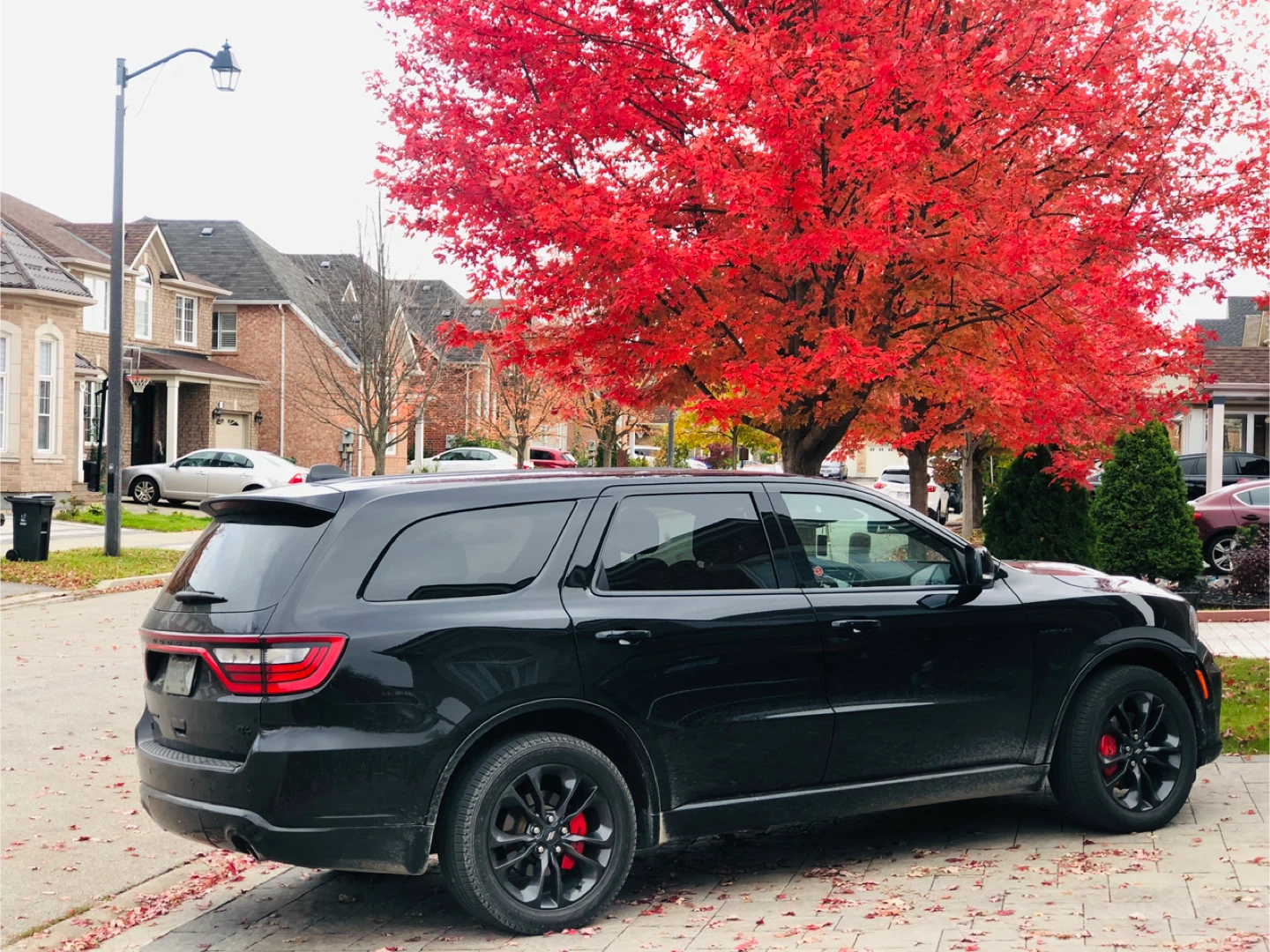 Harminder Singh profile