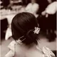 Miya profile