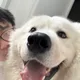 Jerry profile