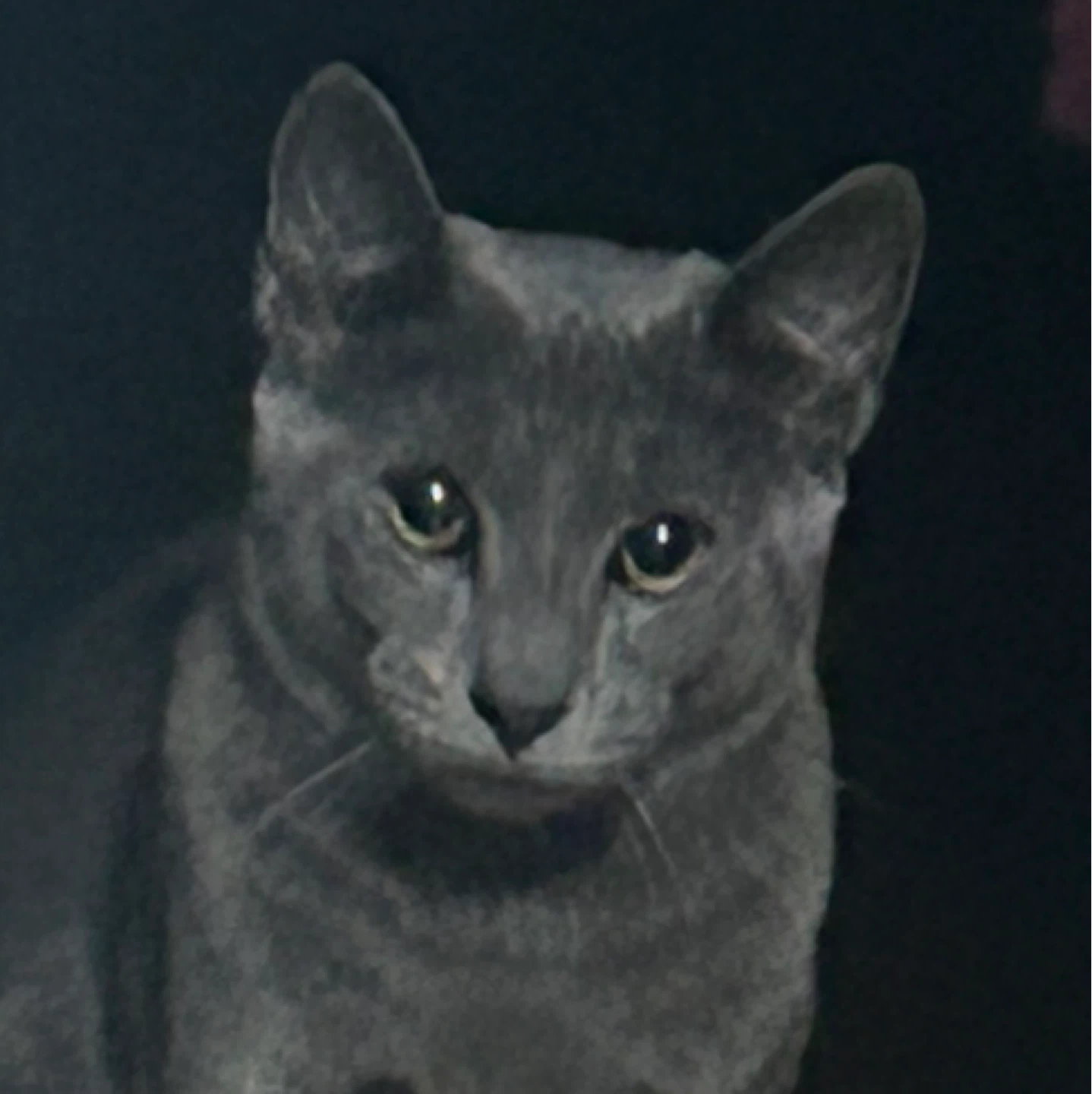 Carlos G profile