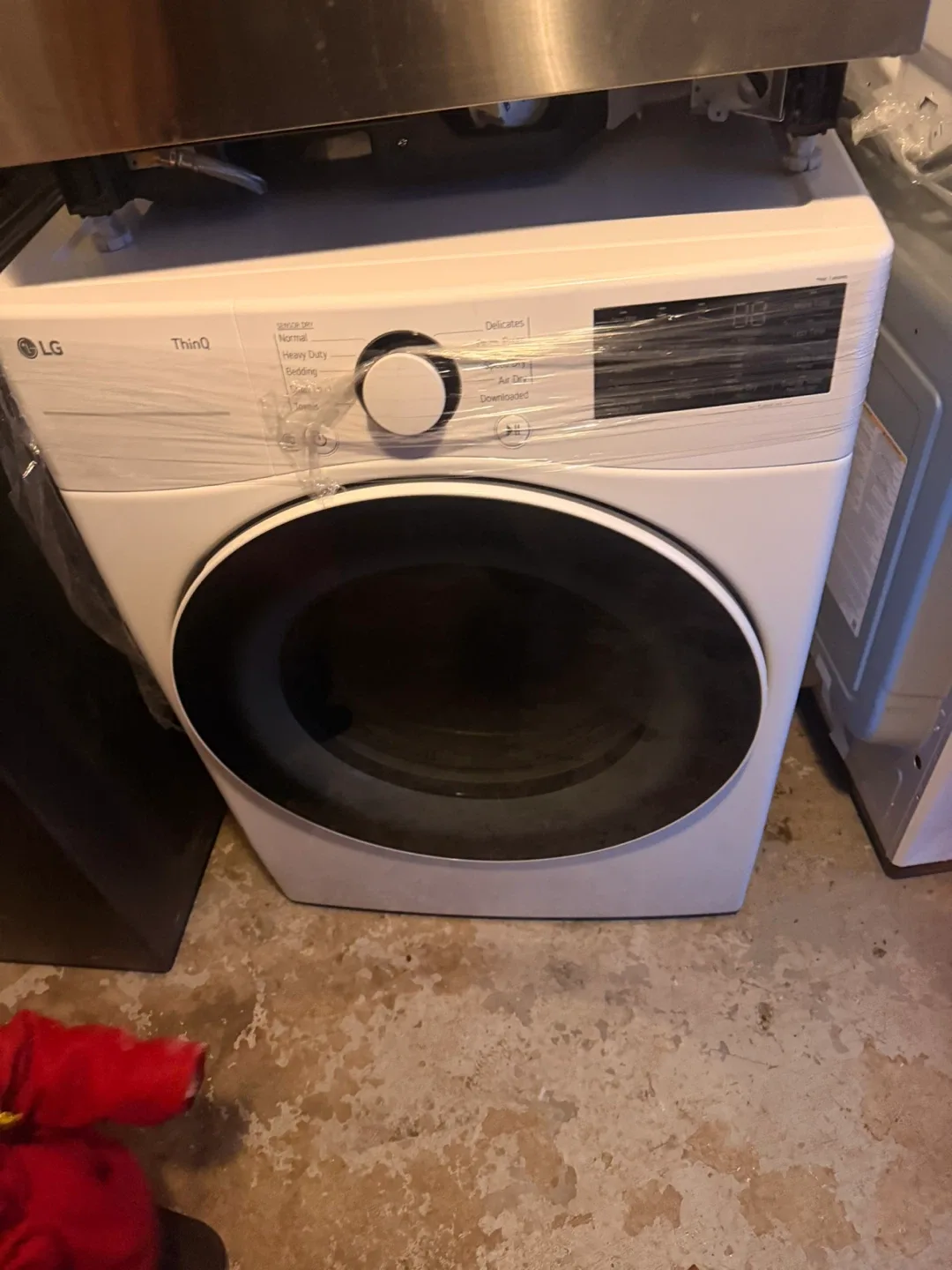 Tiudora tamer profile