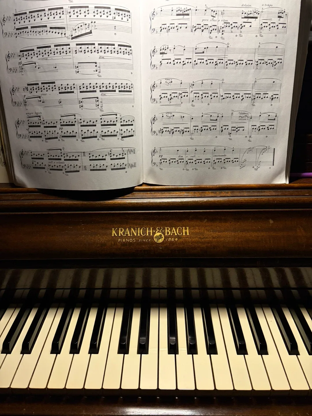 Jeovani Alvarez profile