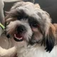 JA profile