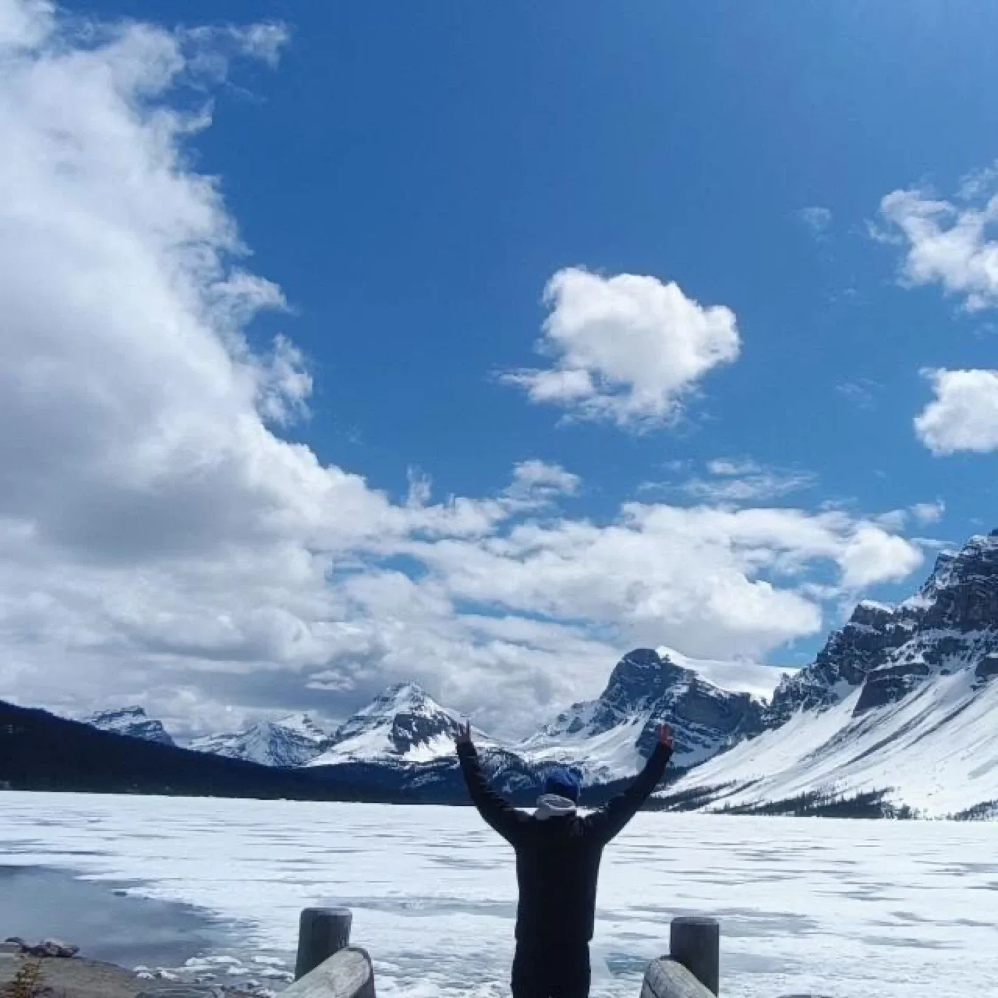 kobi koh roe profile