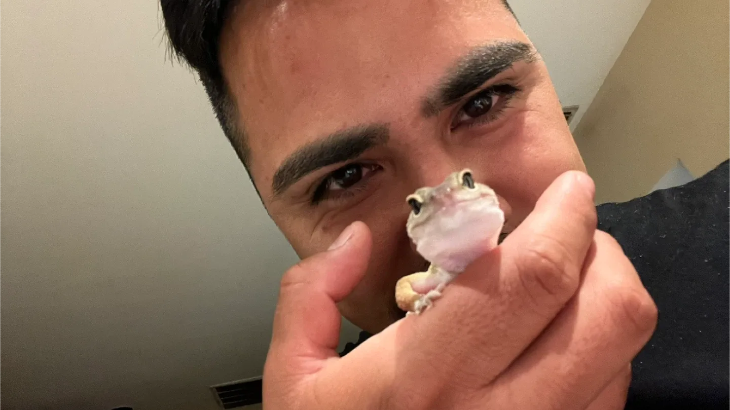 Junior Rodri profile