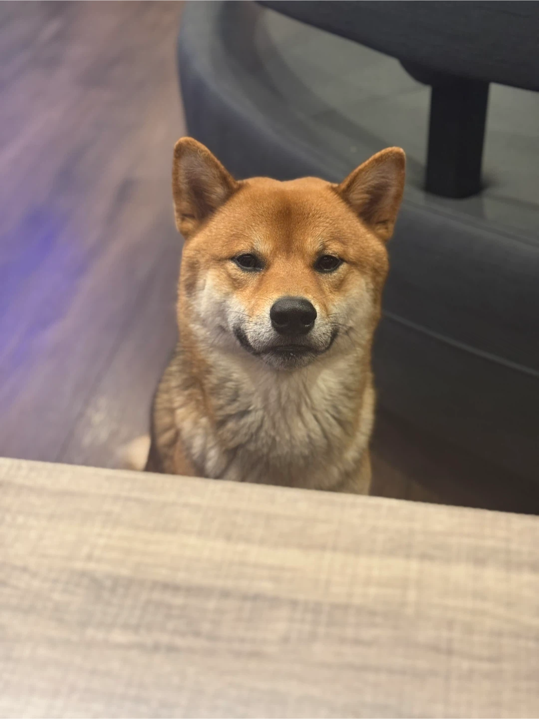 Annie profile