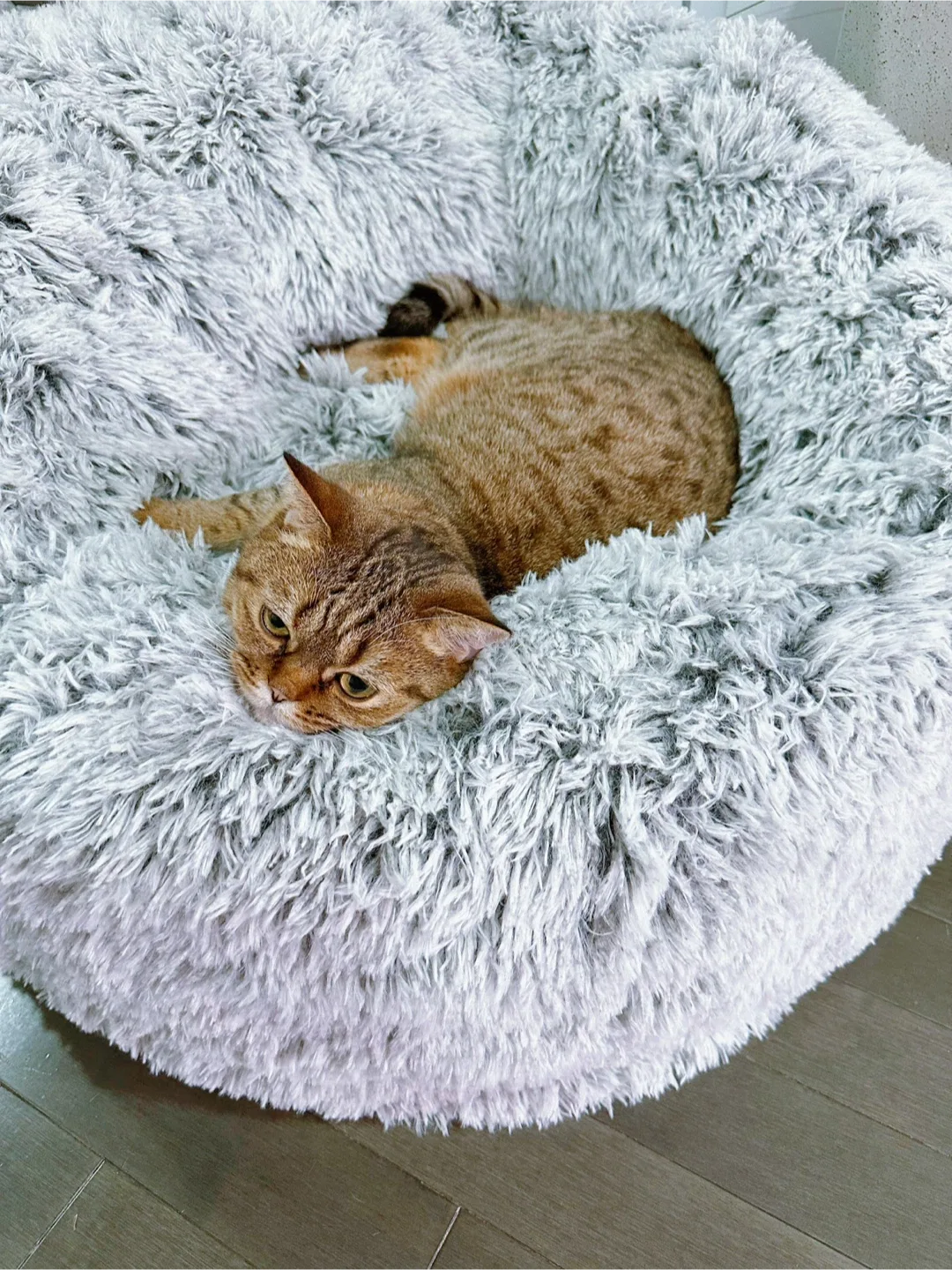 Elegantblaze finds profile