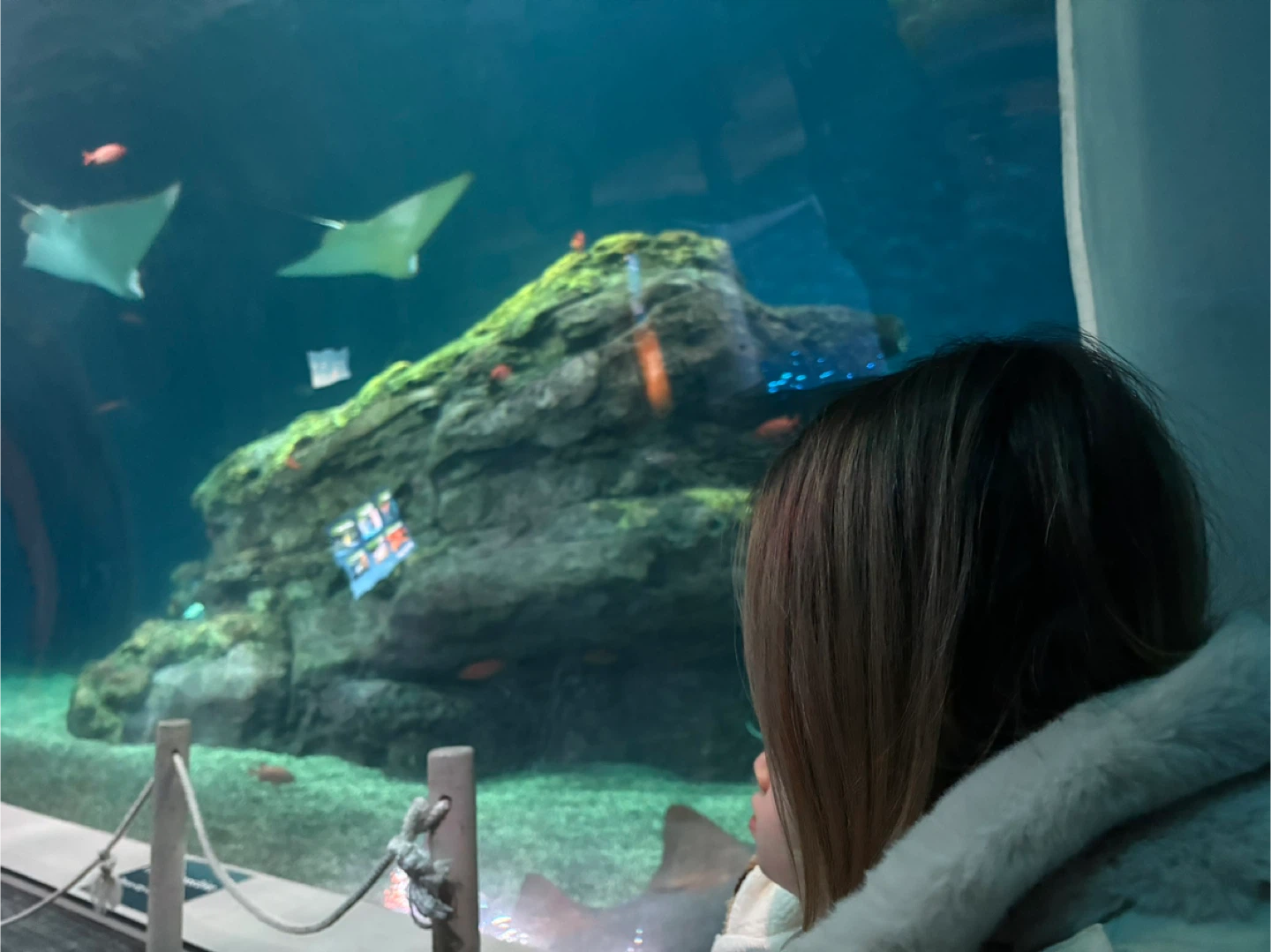 Dream Closet profile