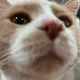 YT profile