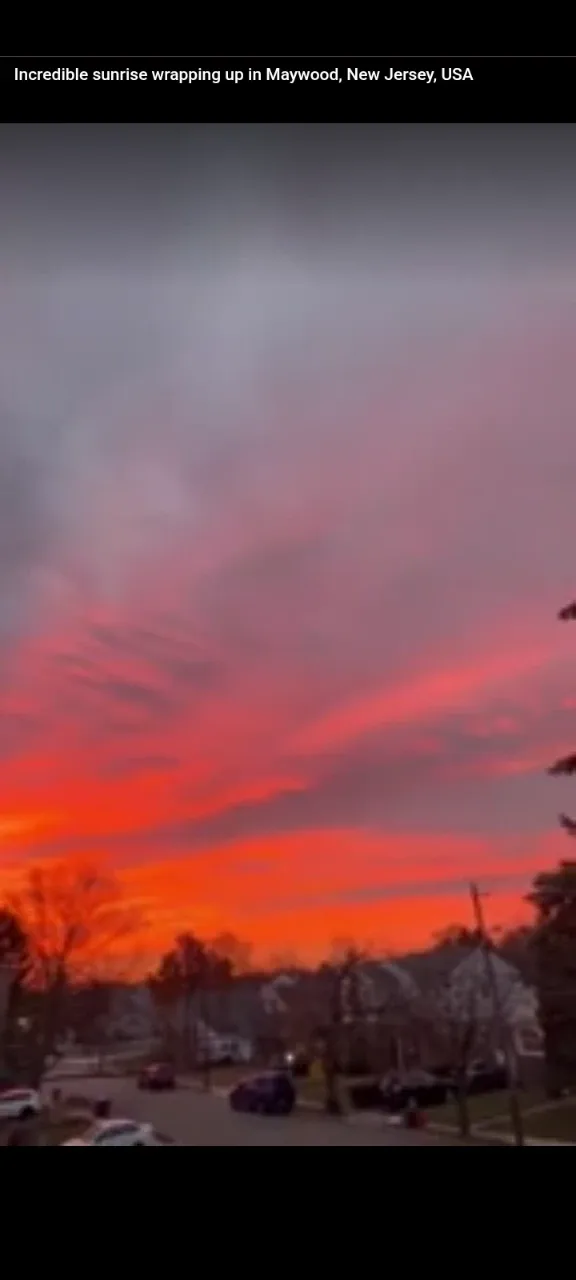 Terrence L Philippi profile