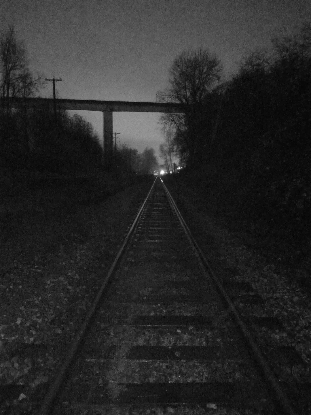 Paris gardner profile