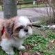 max profile