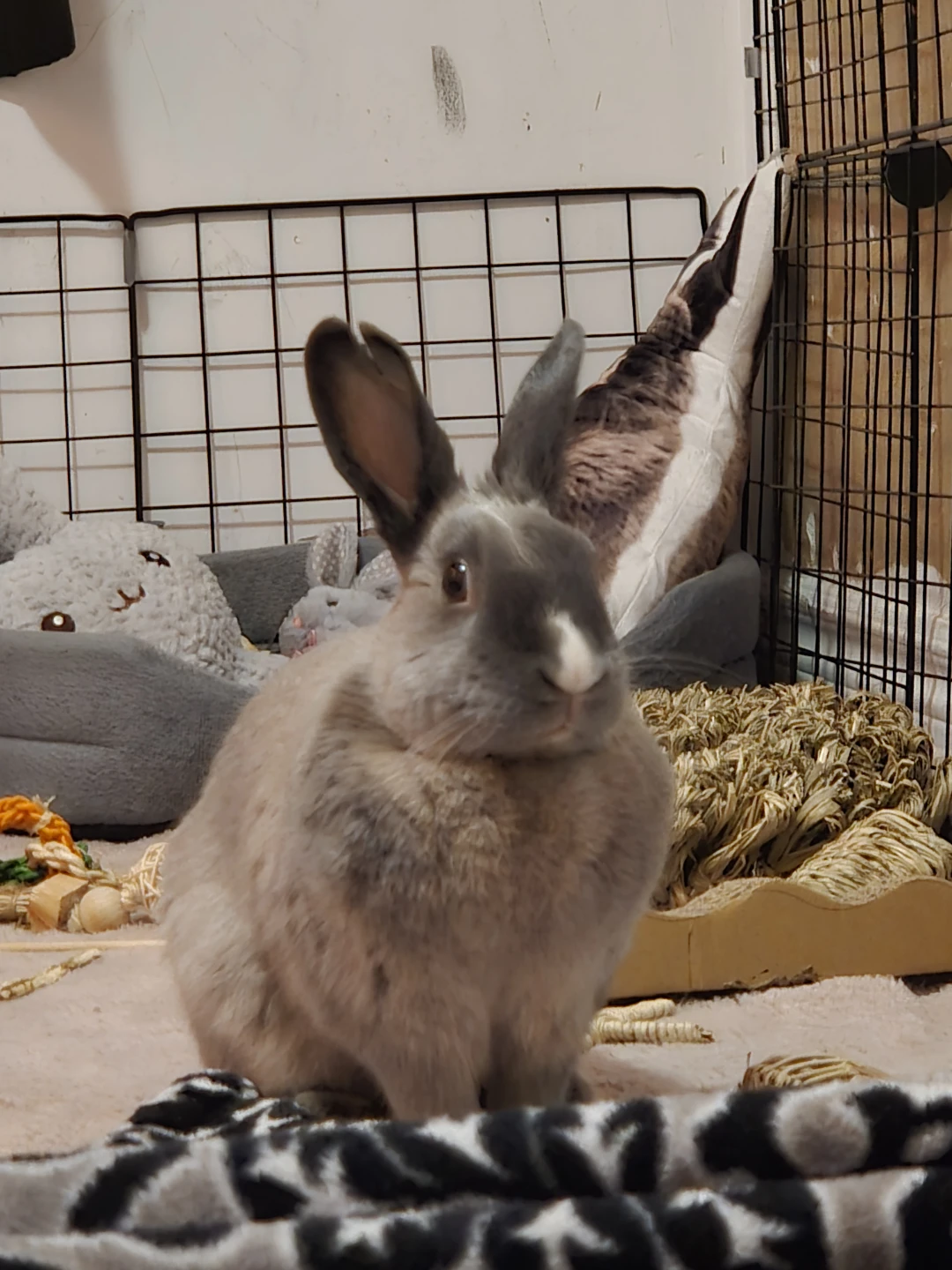 Mel profile