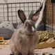 Mel profile
