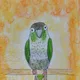 Aldo profile