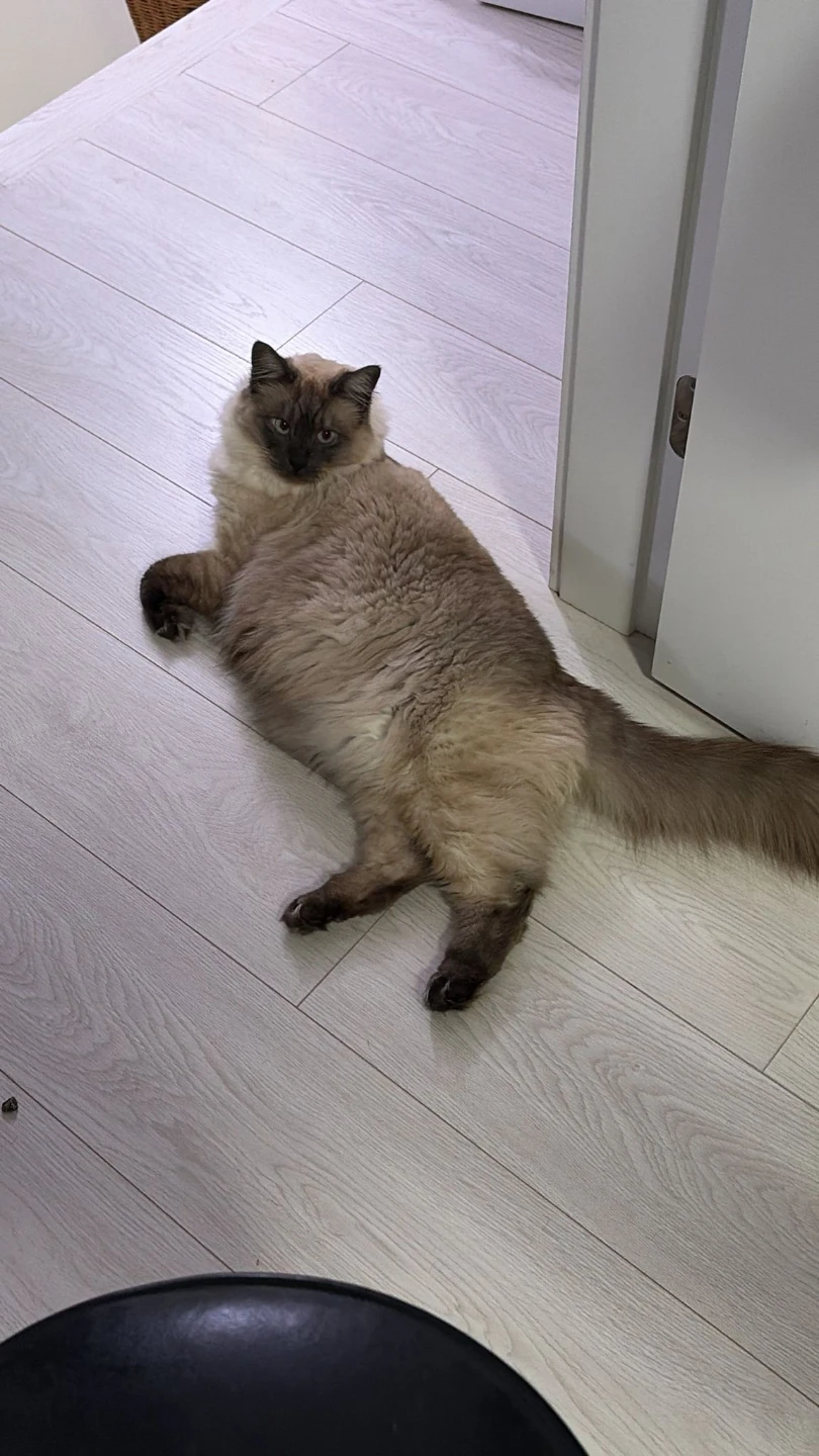 Trent Kits Point profile