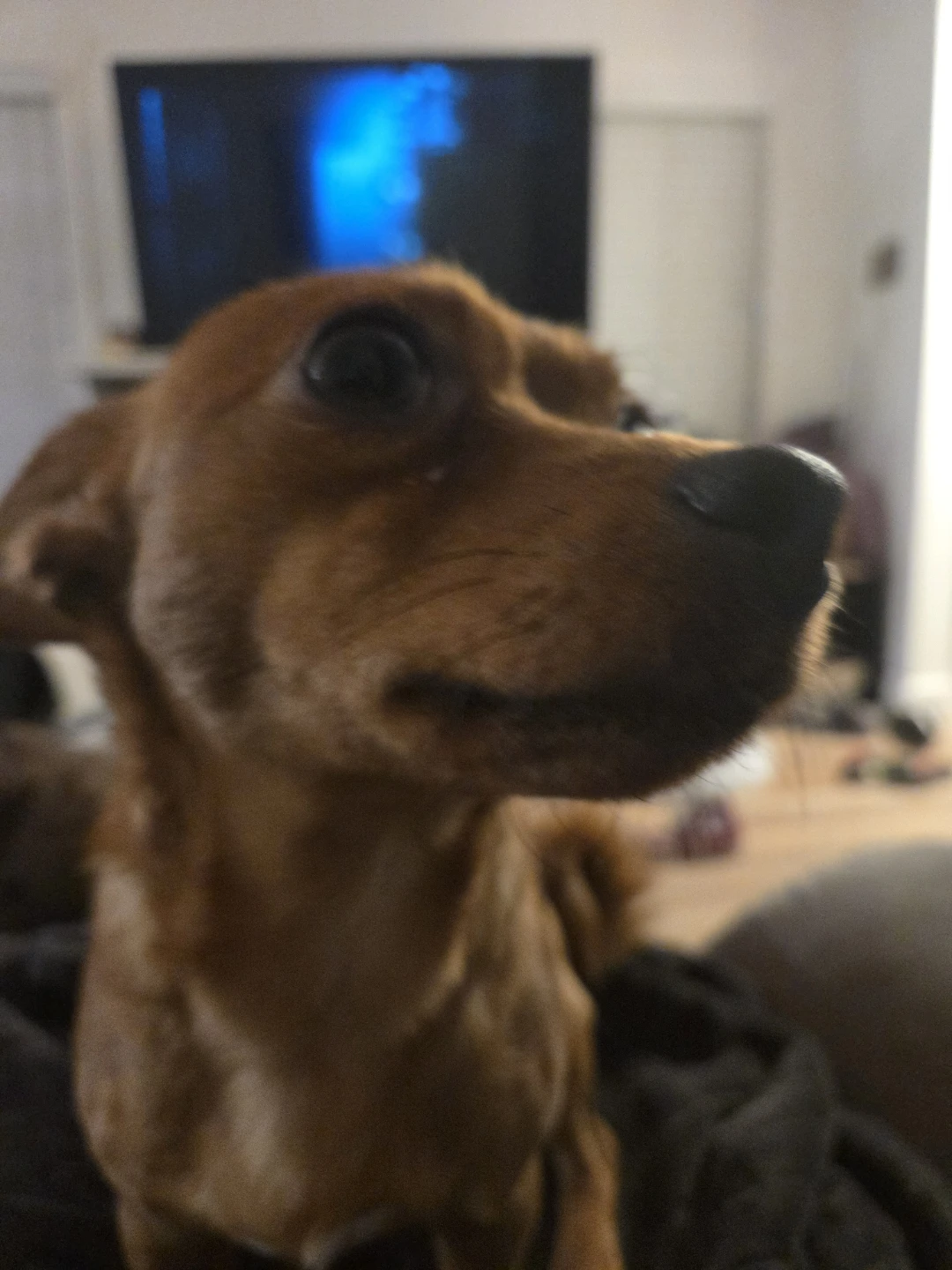 riley profile