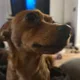 riley profile