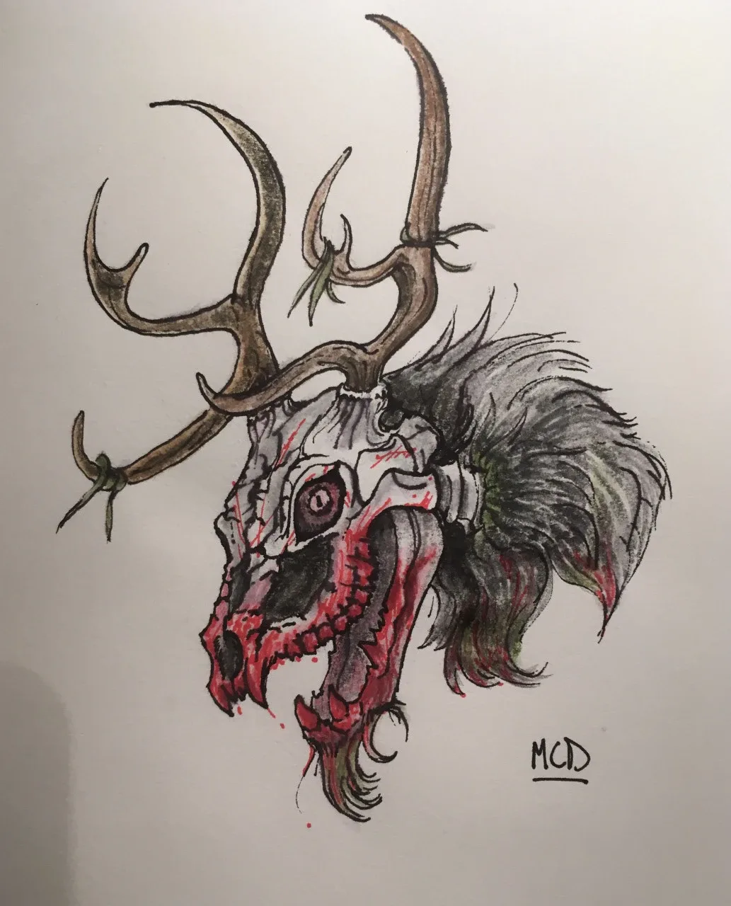 Nolan Savignac profile