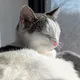 Cindy K profile