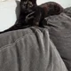 Sirina profile