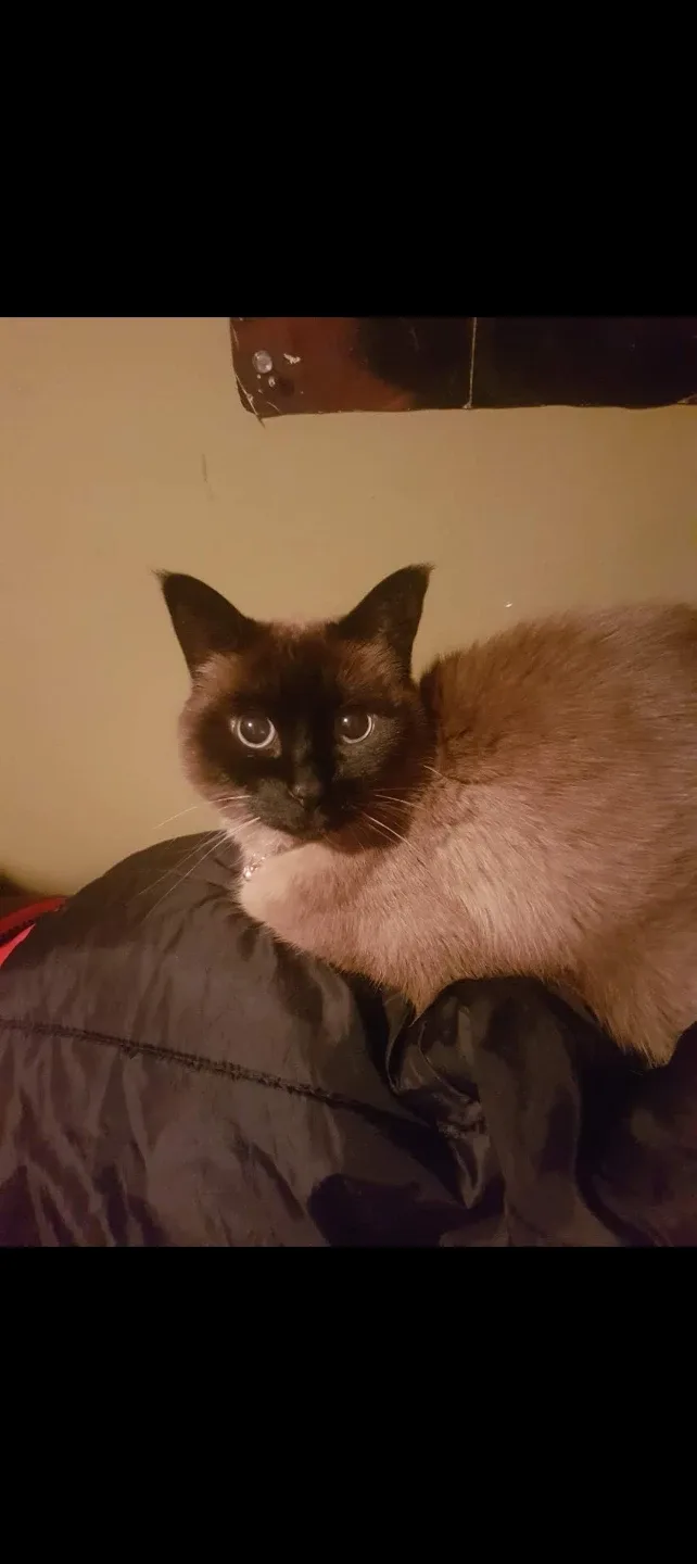 Lawrence Mitchell 91 profile