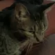 juliussimr profile
