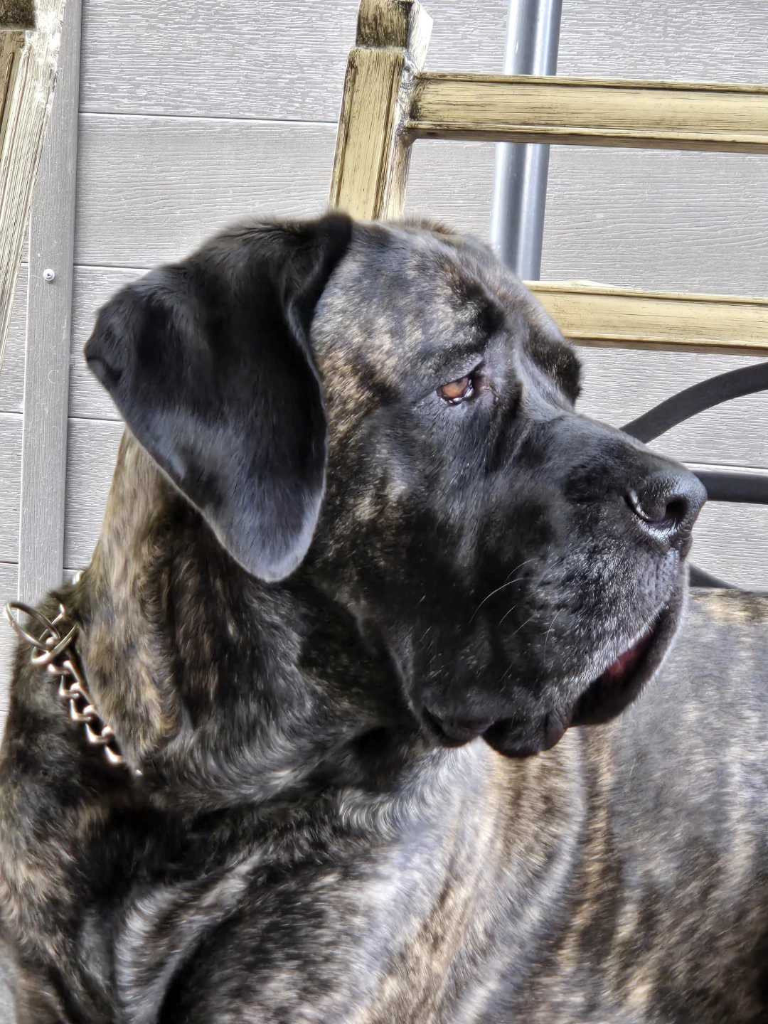 Talula profile