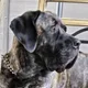 Talula profile