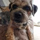 Pip profile