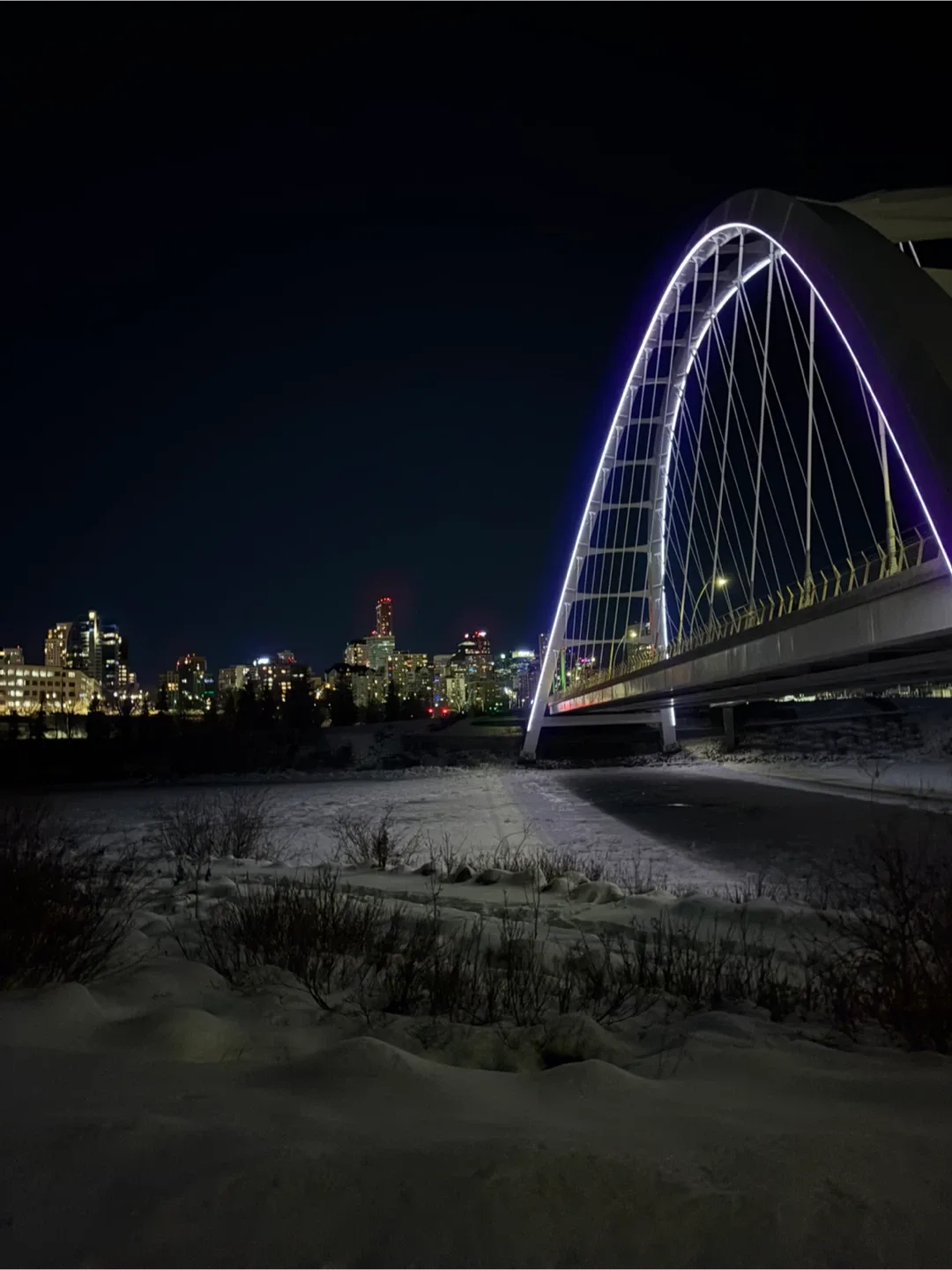 Ayuub Mohammad profile