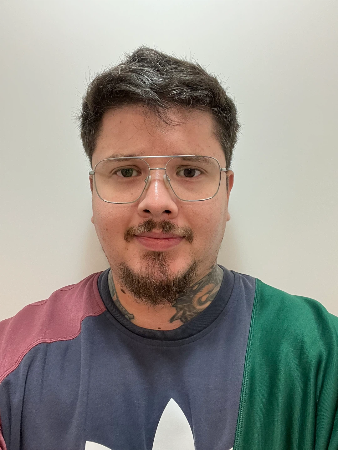 Ricardo profile