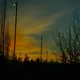 ZoZo profile