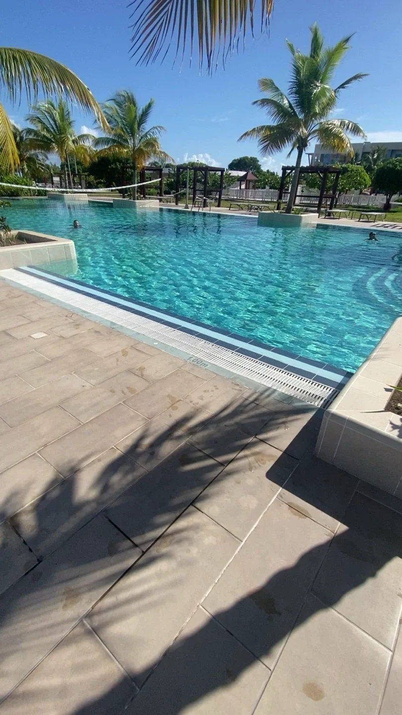 Aiden Nguyen profile