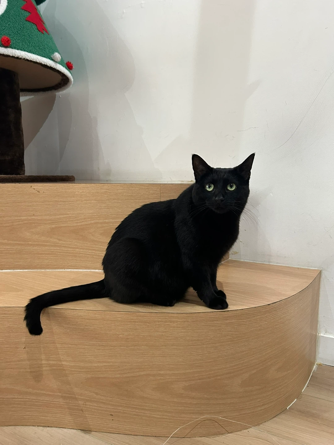 Imanuel valdez profile