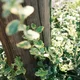 vitoww profile