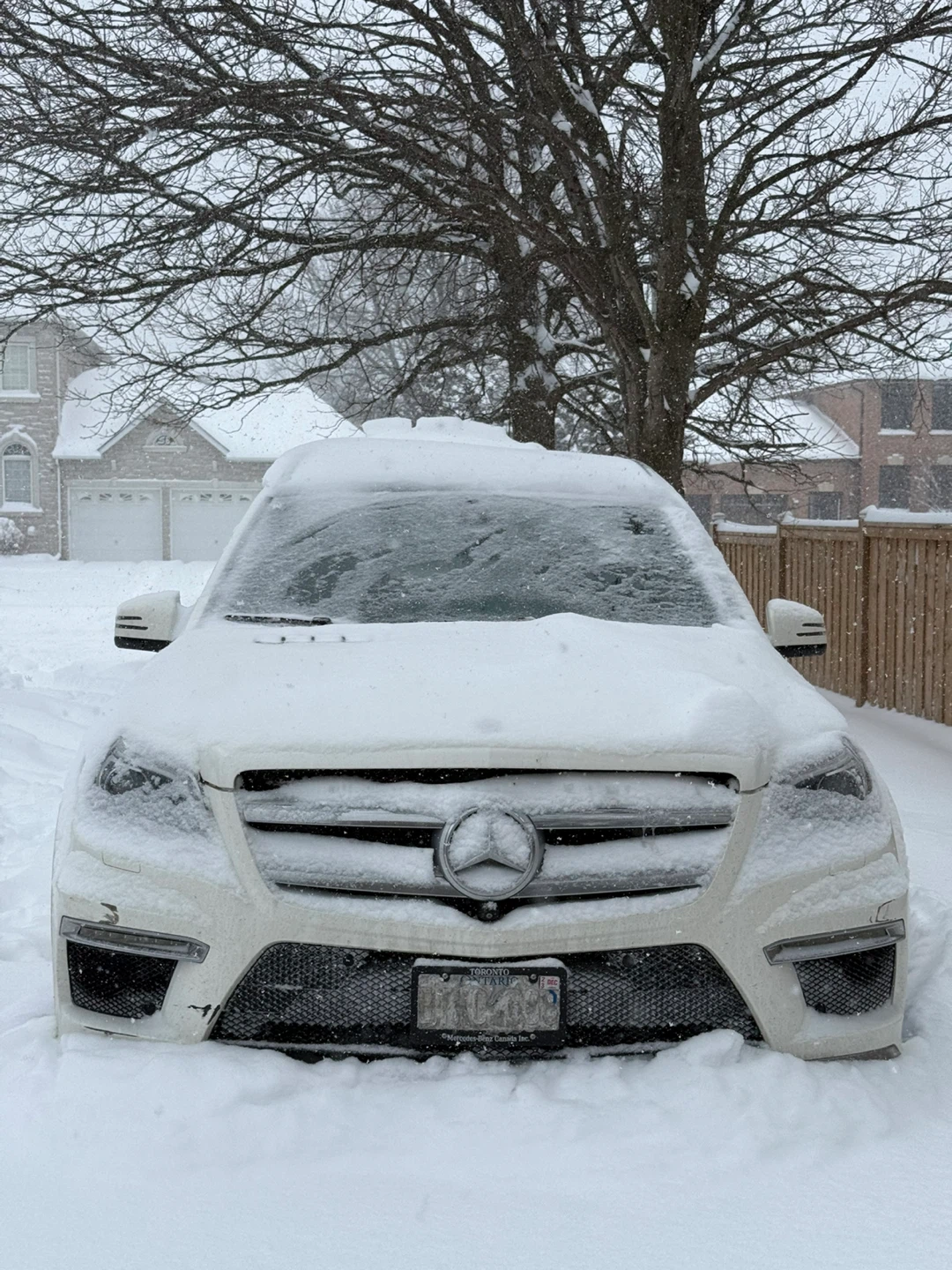 Abhishek Thapa profile