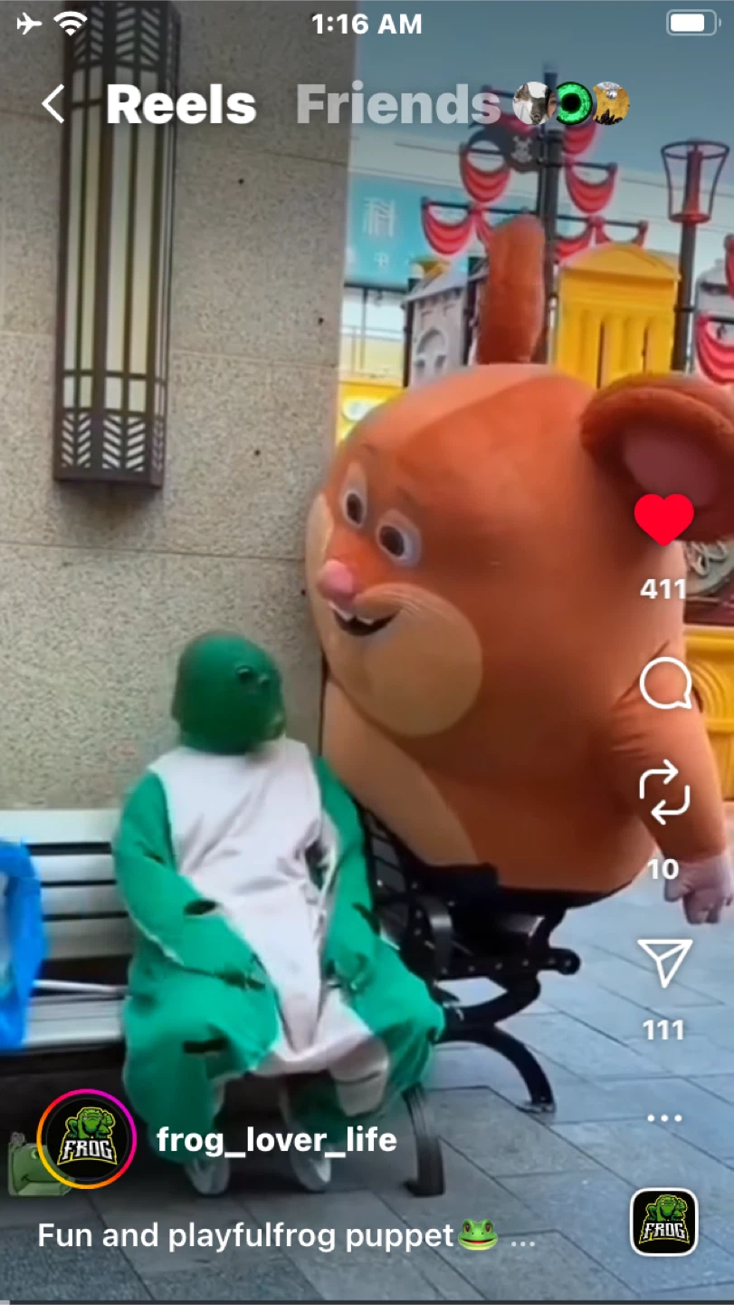 mrorangefrog profile