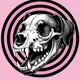 H 3 L L Z 3 R profile