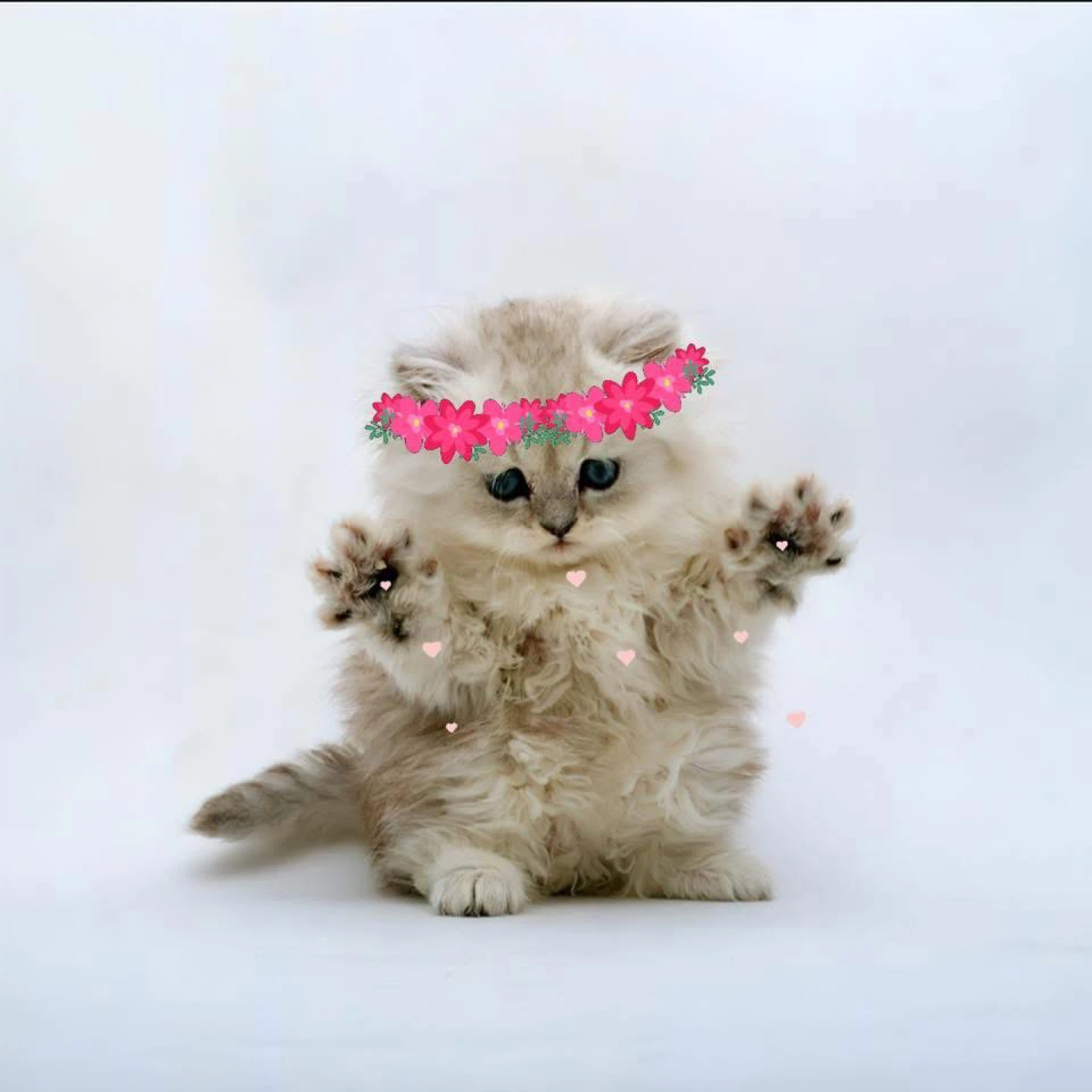 Ridgewood Refurbishz profile