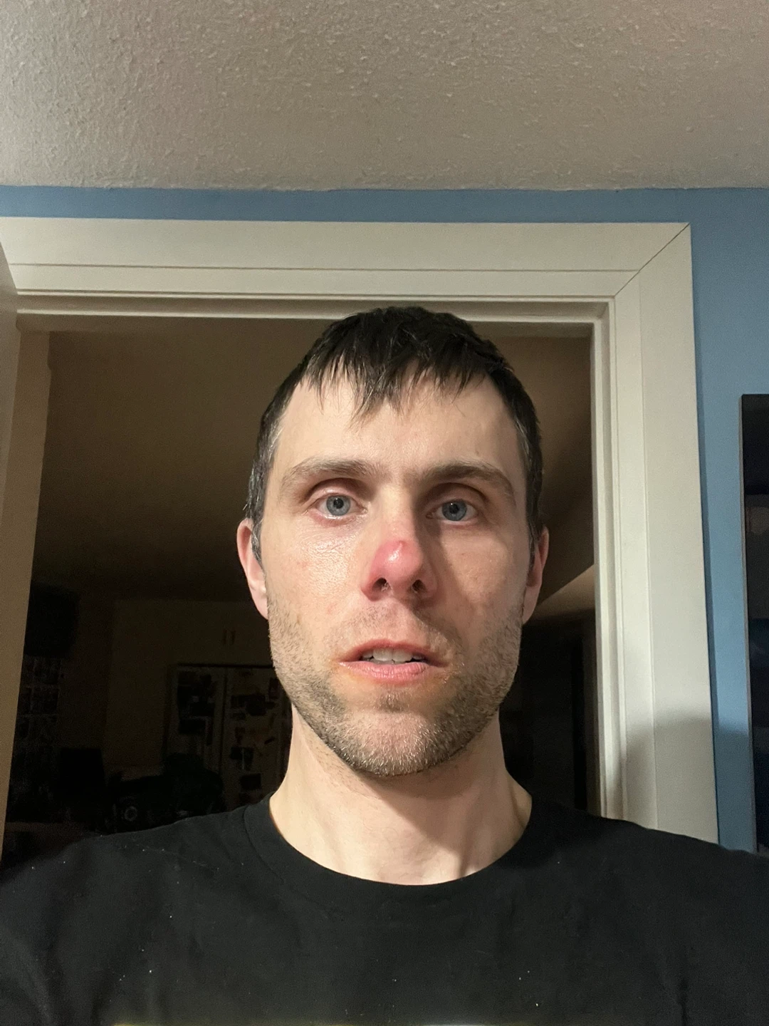 Dan profile
