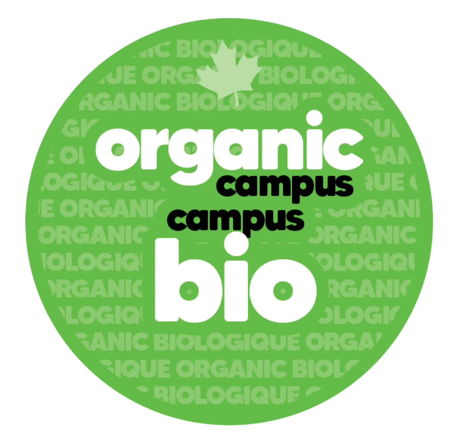 Daily Households profile