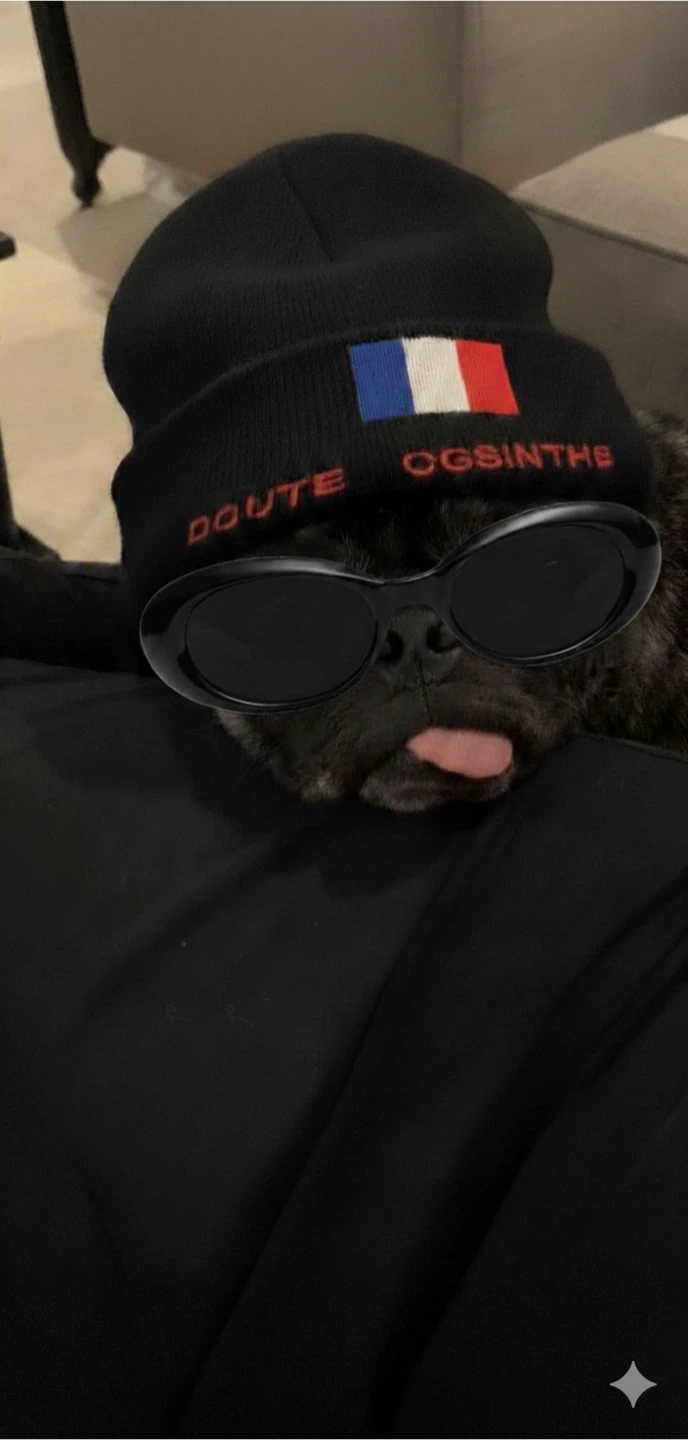baybladeeevintsge profile