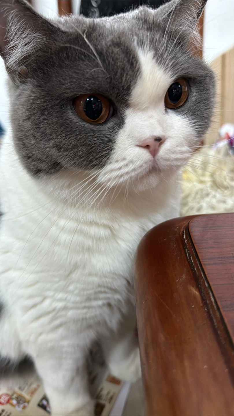 Yuenyuen profile