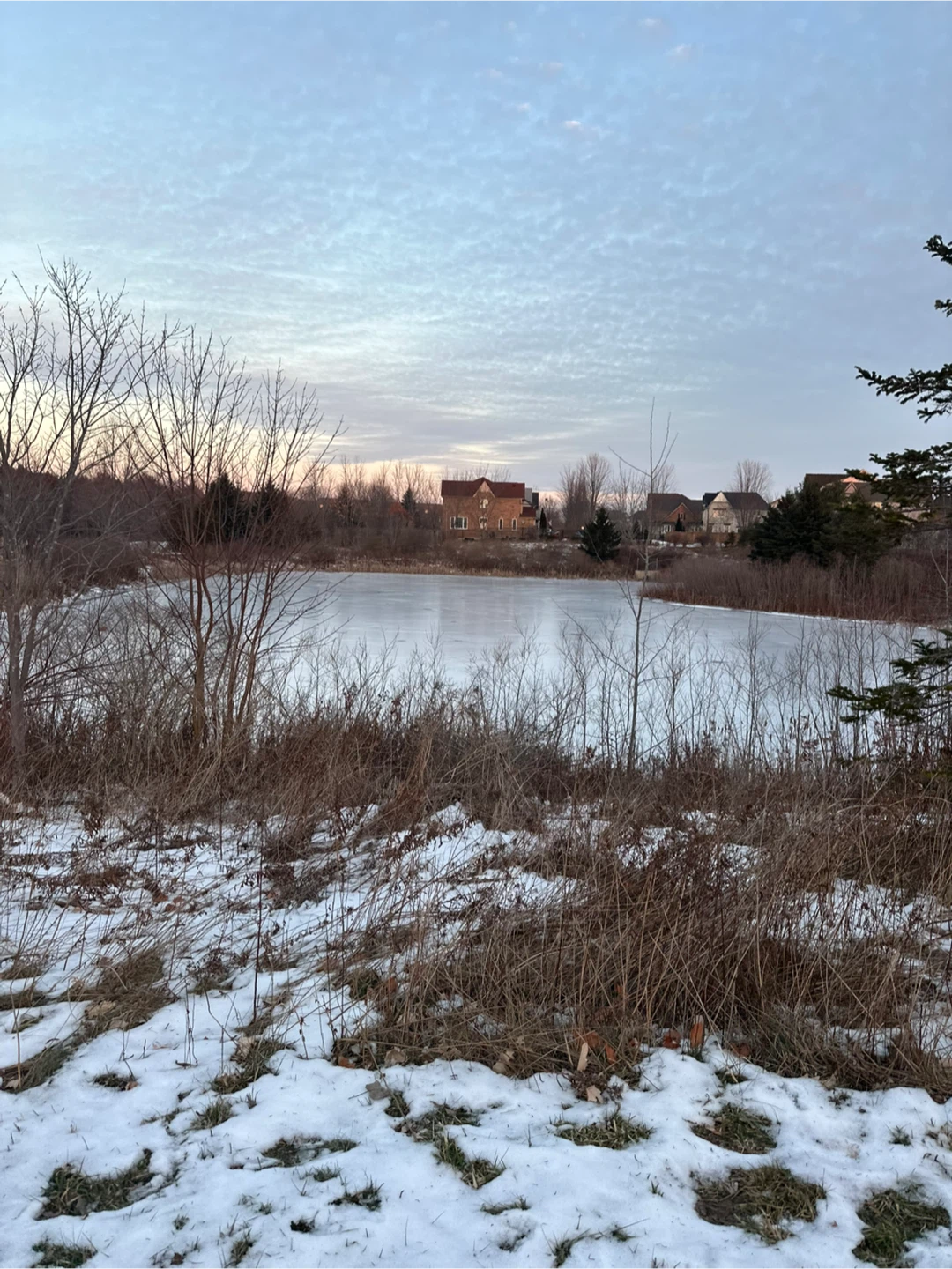 Abdul Rahman profile