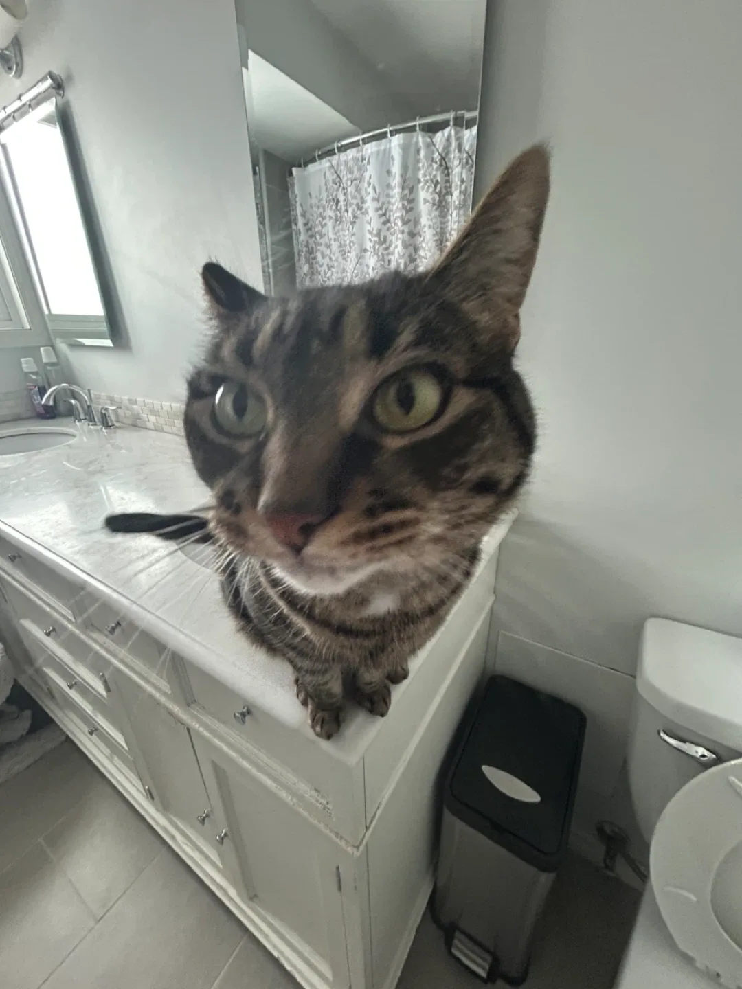 Jesse harris profile